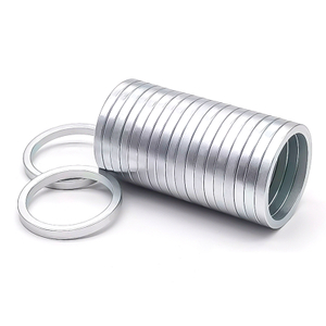Aimant NdFeB de forme d'anneau de force forte de couleur de zinc de D23.8*D19.8*2.5mm dans l'emballage de Costimestic